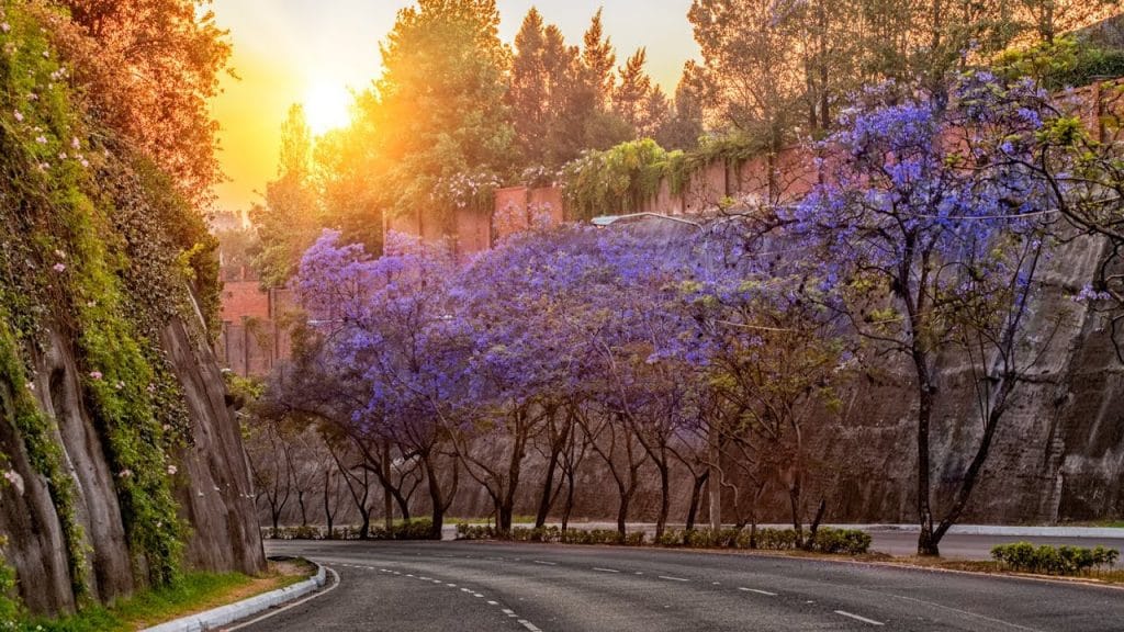 ciudad de guatemala en tiempo de
