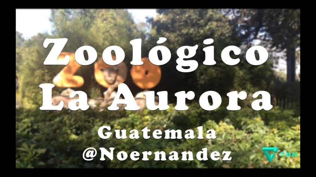 zoologico la aurora ciudad de gu