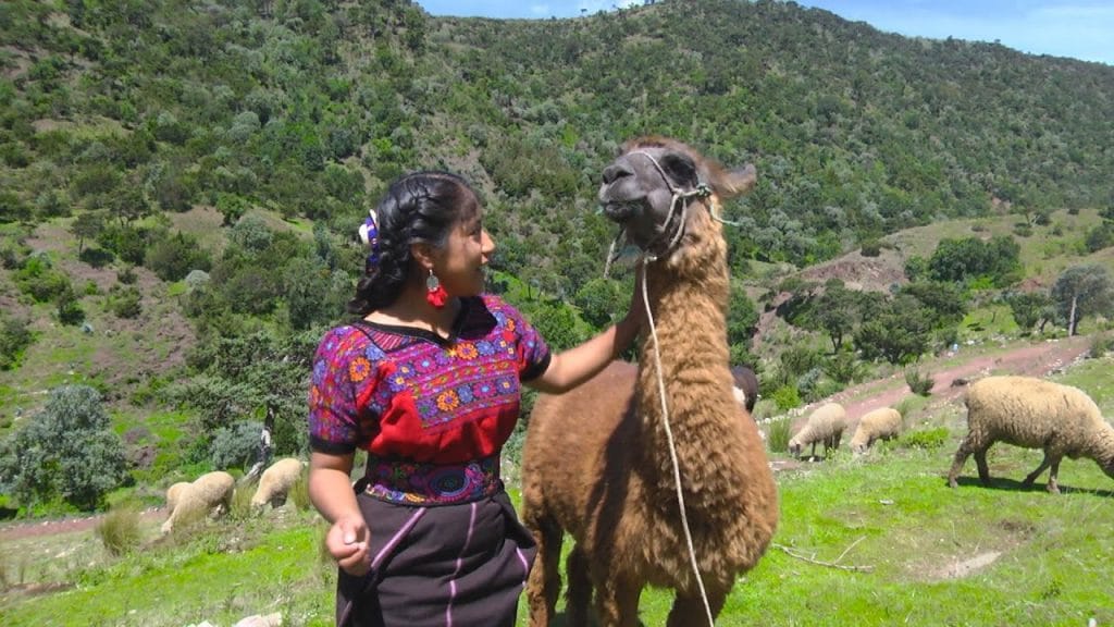 las llamas de la sierra de los c