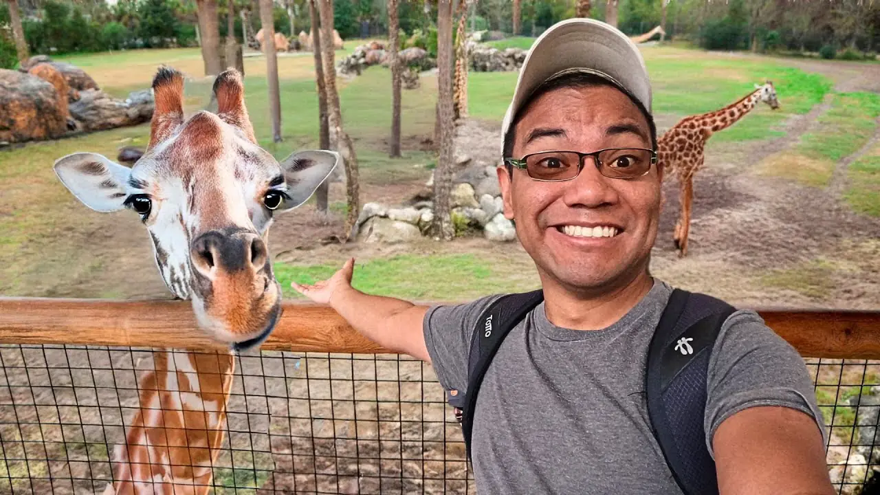 Así es un SAFARI VIP en GUATEMALA 🇬🇹🦒 41 asi es un safari vip en guatemala f09f87acf09f87b9f09fa692
