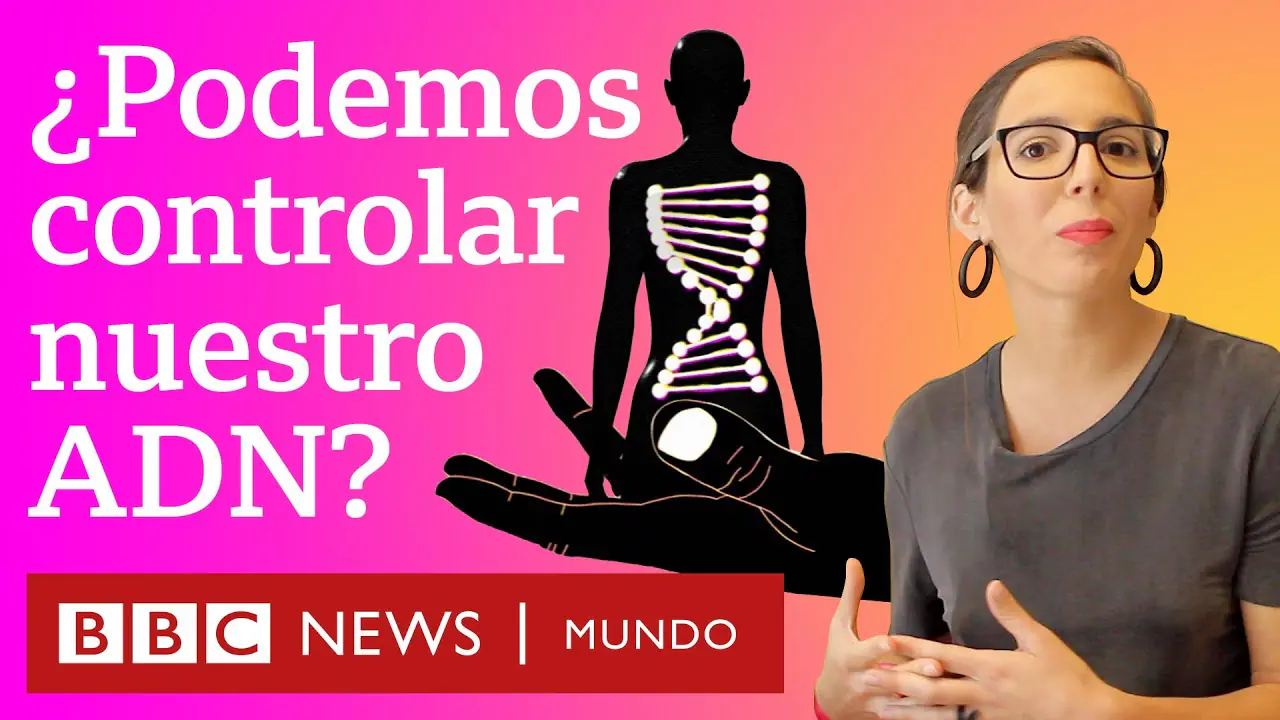 Epigenética: El Pilar Fundamental de la Medicina Funcional Actual 24 como podemos controlar nuestros genes bbc mundo
