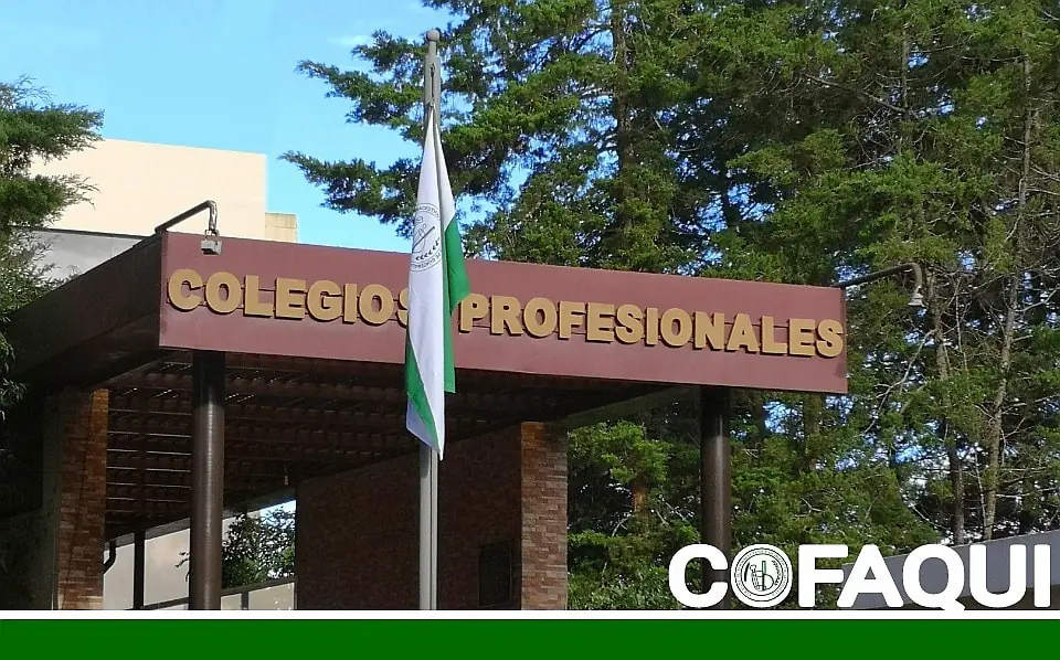 Cómo Inscribirte en los Colegios Profesionales de Guatemala Fácilmente 35 467350514 1579049732696549 1354156180659026197 n