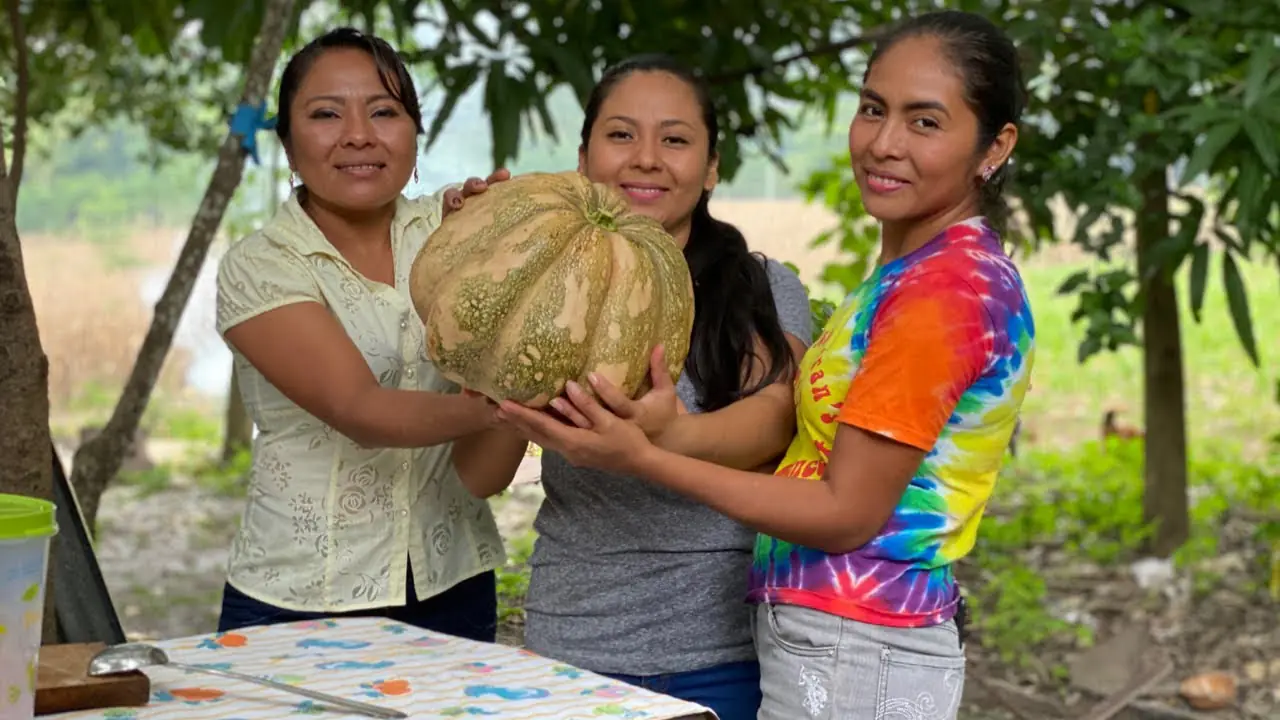 Descubre la Importancia del Ayote en la Cultura y Gastronomía de Guatemala 44 ayote guatemalteco que rico
