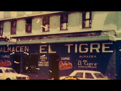 Historia de Almacén El Tigre: Un Ícono Comercial en Guatemala 23 e29c85 historia del almacen el tigre f09f90aff09f9085