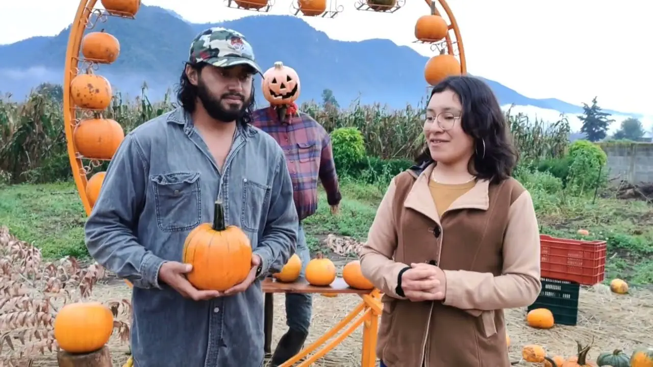 granja de calabazas f09f8e83