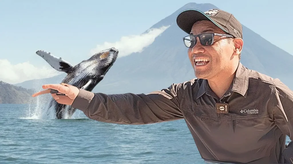 se pueden ver ballenas en guatemala f09f98b1f09f87acf09f87b9