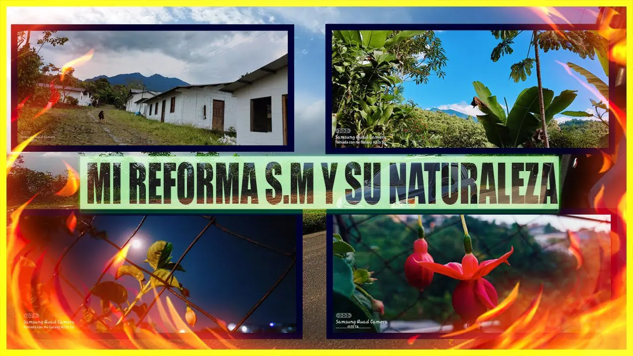 Descubre La Reforma en San Marcos: Cultura, Historia y Turismo 8 la reforma san marcos 2022 f09f9181f09f9193f09f8eac ven te invito a ver el video no te arrepentiras f09f8f9ef09f8ea5